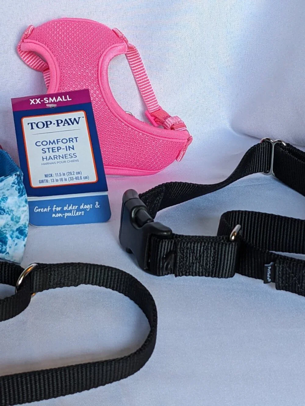 Dog Collars (Various Sizes) & Harness Bundle Lot Valentine Bow Tie
